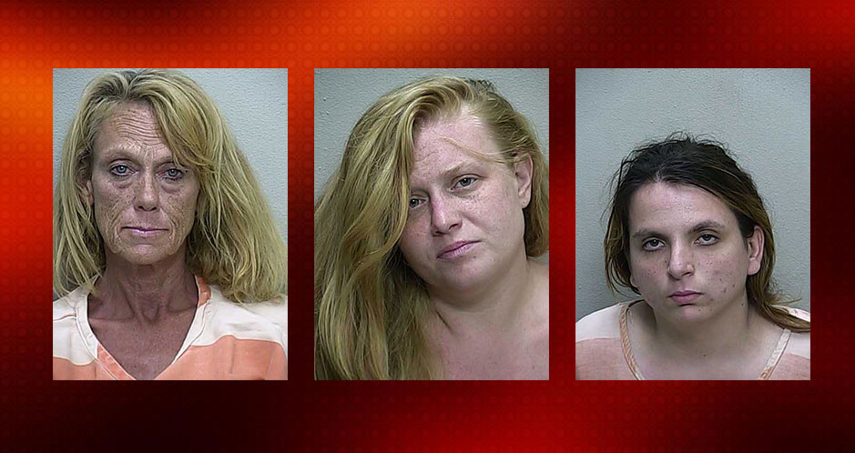 prostitutes, florida, daily lash, 