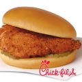 chick-fil-a, free sandwiches, daily lash, business