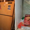 baby in freezer, the daily lash, infant death, frozen baby