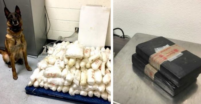 $4.1 million in drugs seized by Homeland Security Investigations