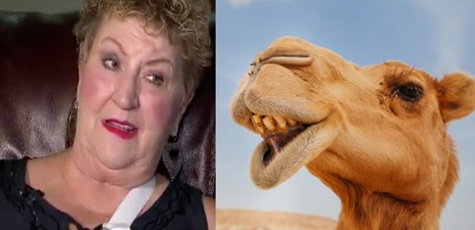 This camel story is full of nuts, woman “camel toed,” bites testicles