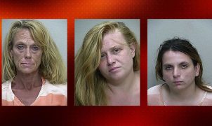 prostitutes, florida, daily lash,