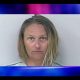 florida news, the daily lash, sex toy